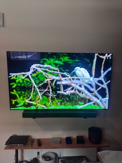 LG 55” OLED + Dolby Atmos Soundbar Bundle *need gone ASAP*