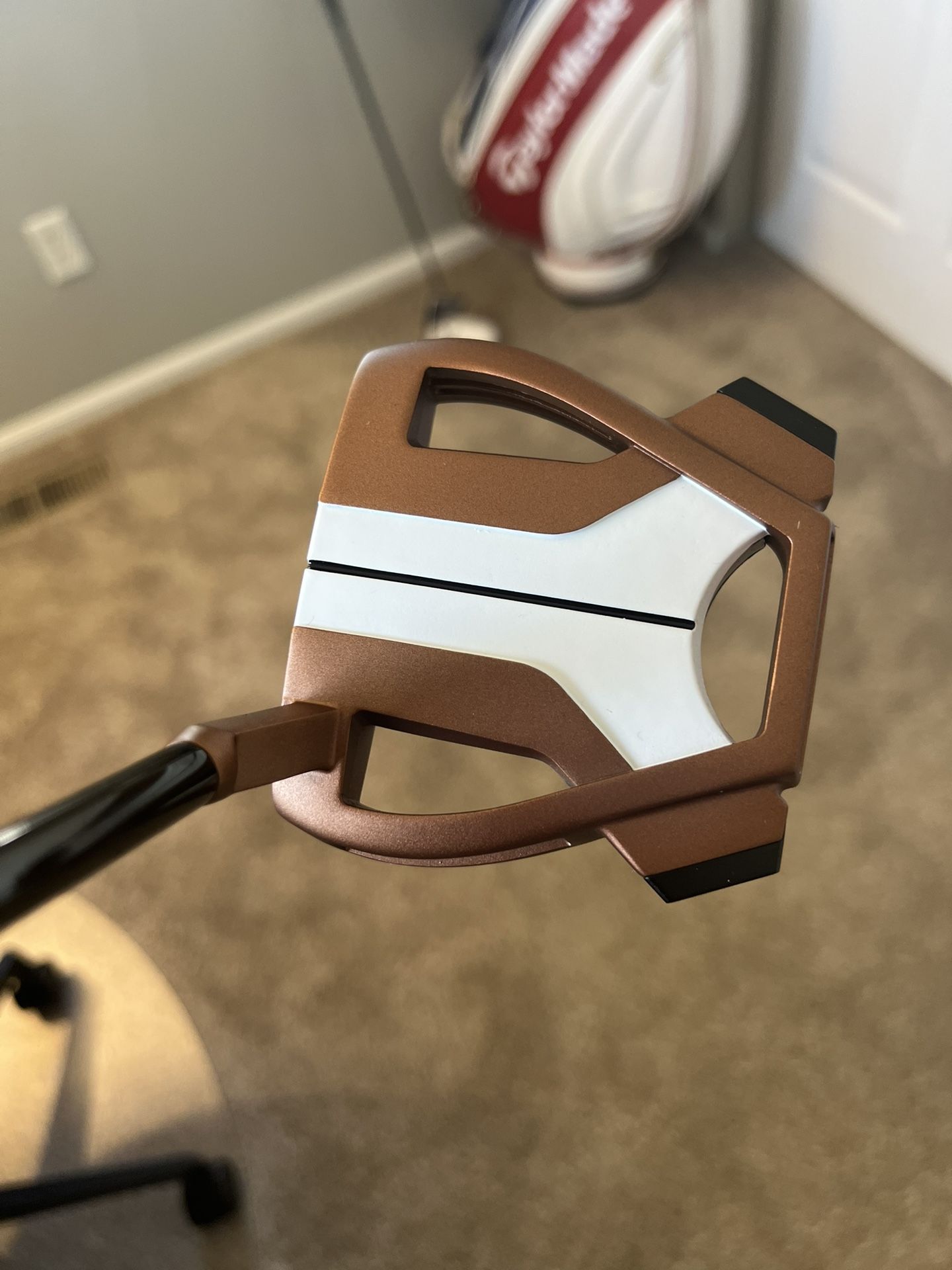 TaylorMade Spider X Putter | New!