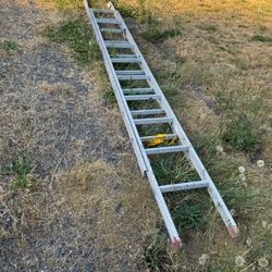 Ladder 24 Foot Telescoping