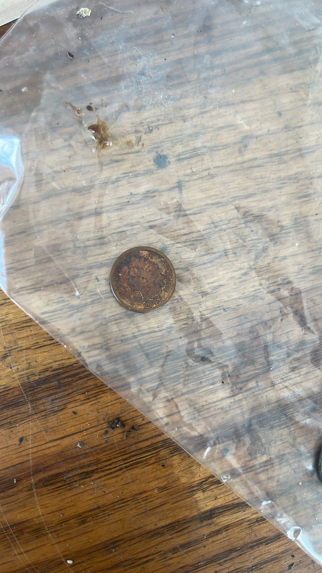 1891 Indian Head Penny