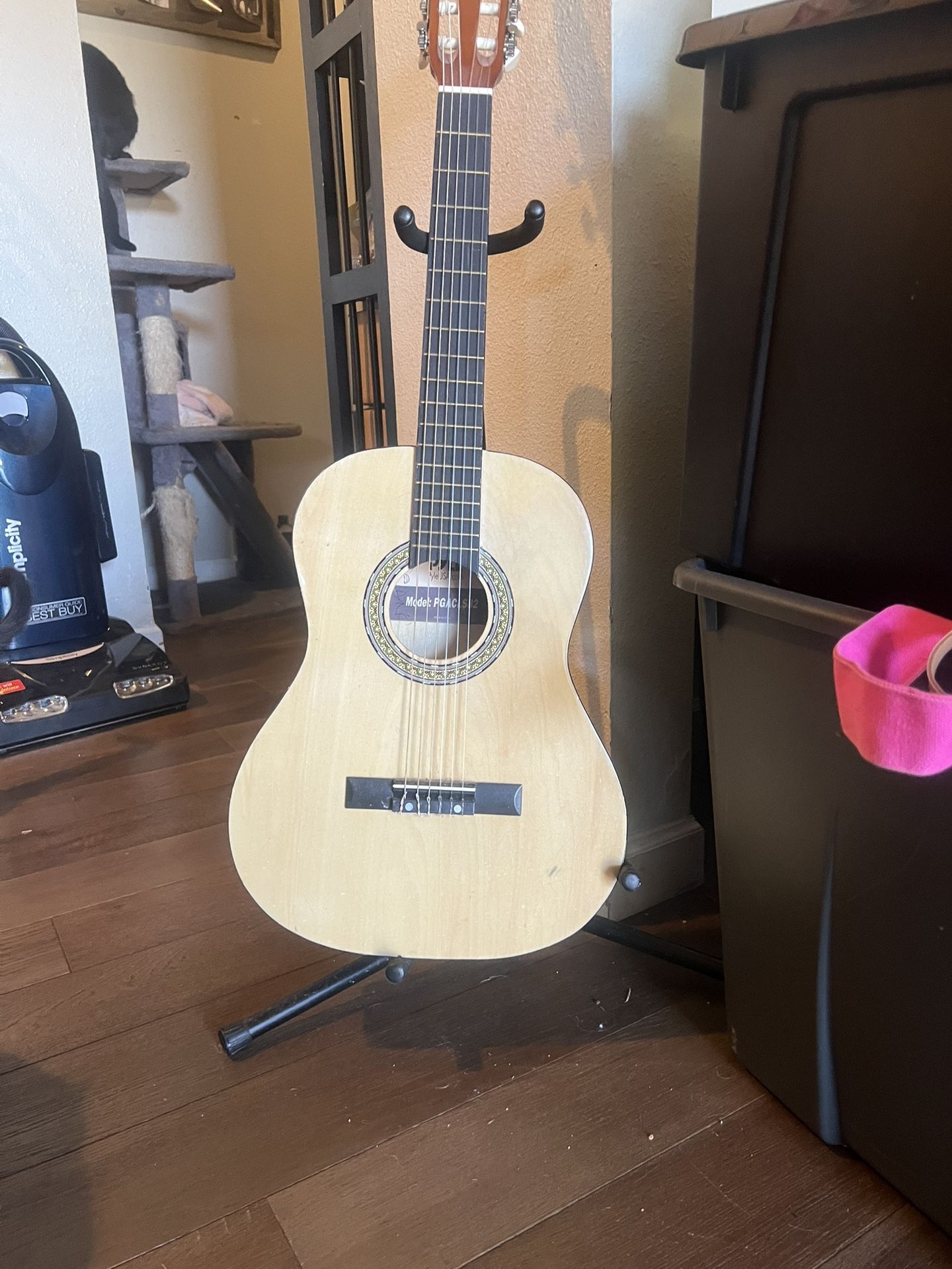 Guitar And Stand