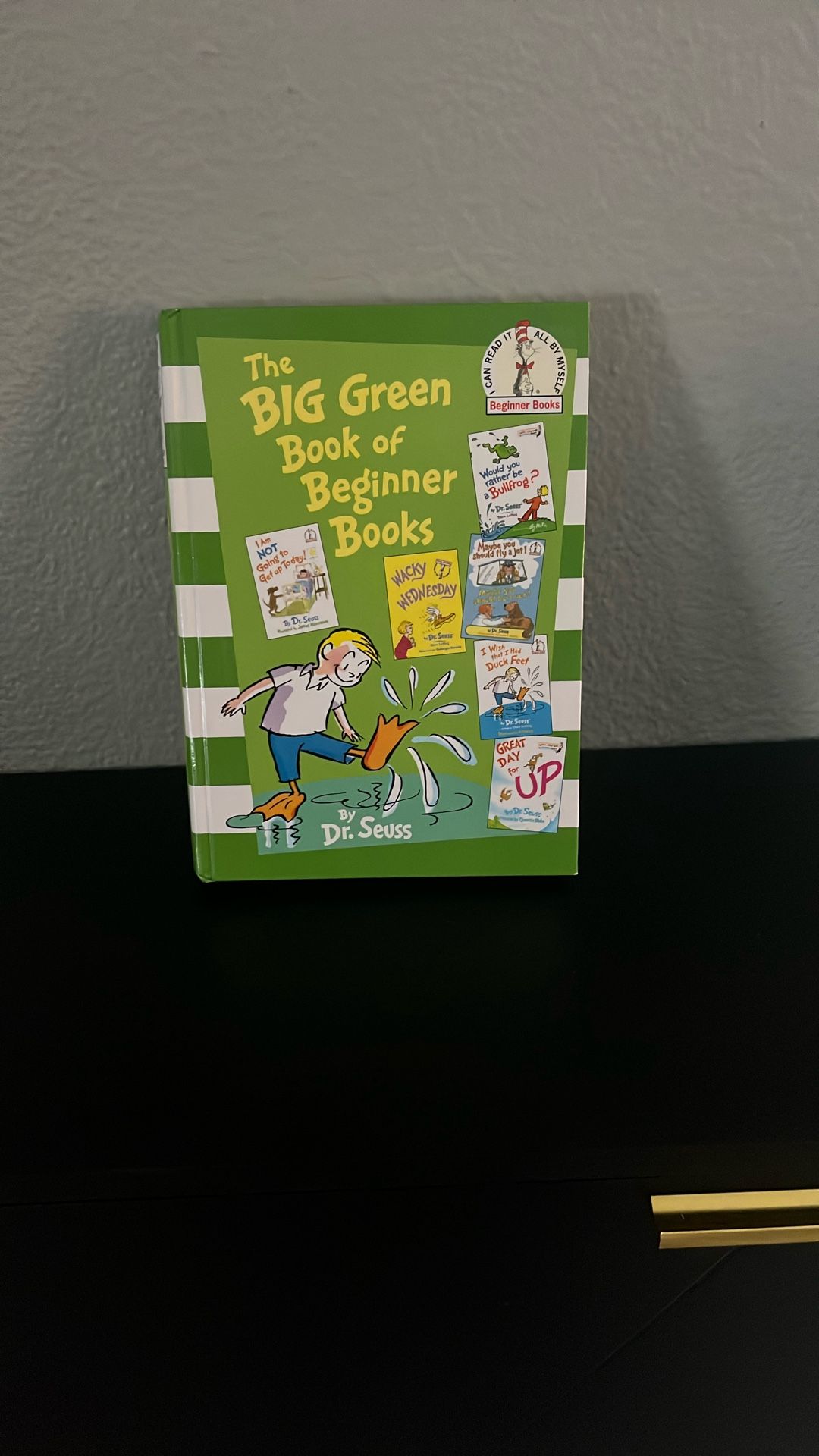 The Big Green Book Of Beginner Books