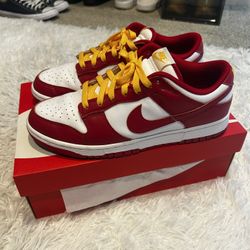 “Fire Red” Dunk Low (Size 10.5)