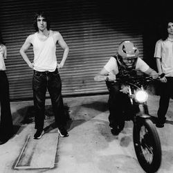 GEESE with Racing Mount Pleasant