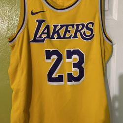 LeBron James Authentic Jersey
