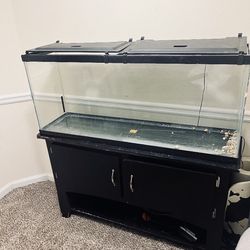 70 gallon Fish Tank