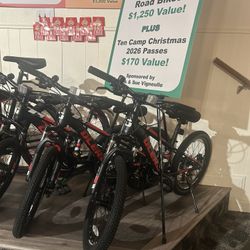 Family Mountain Bikes