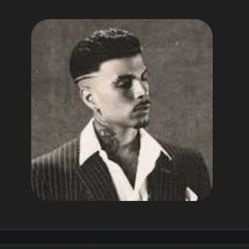 Rauw Alejandro MIAMI 2 tixs