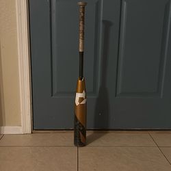Baseball bat
