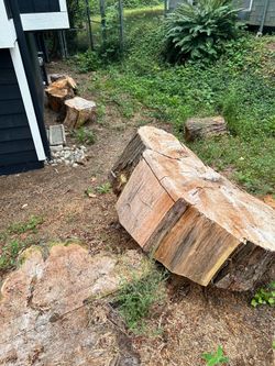FREE 5 medium cedar rounds, one large round, splitter needed.  Pick up in Issaquah, South Cove area.