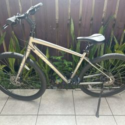Trek Verve 3
