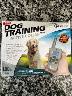 Dog Training Collar