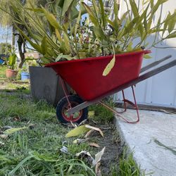 $100 Little Red Wagon With Plants
