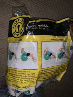 Golds gym exercise ball