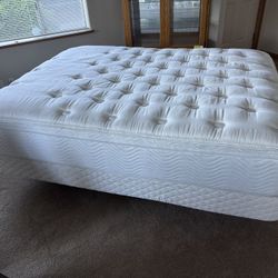 Adjustable Queen Bed