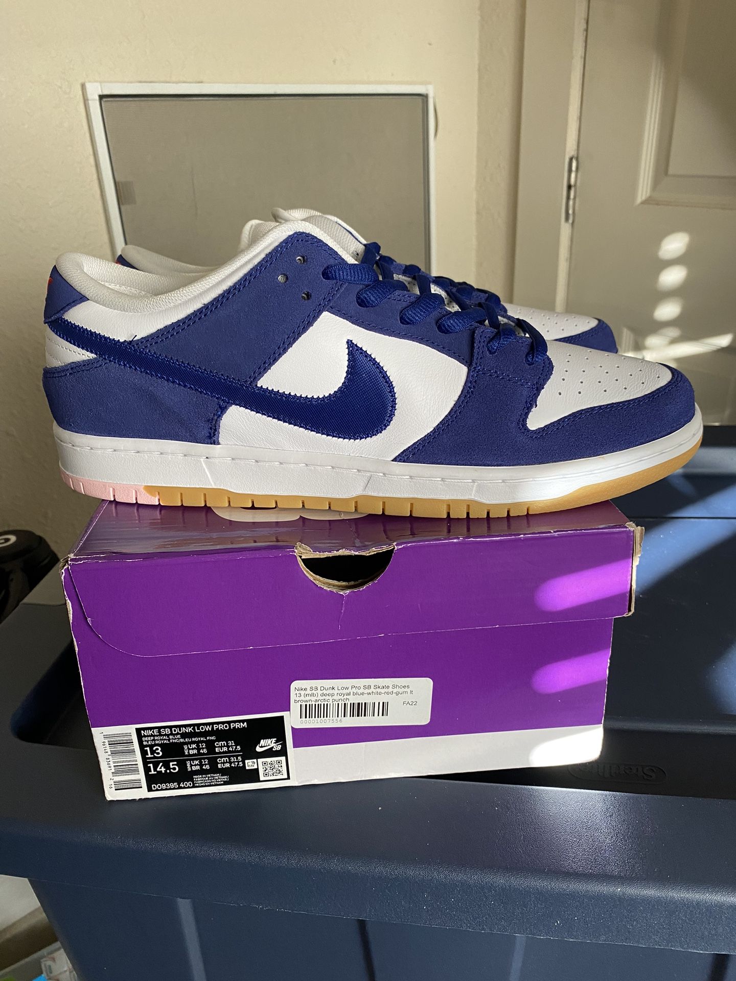 Brand New Nike SB Dunk Low The LA Doggers