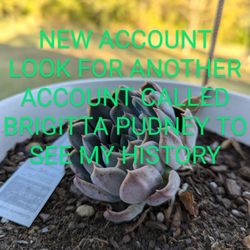 NEW ACCOUNT