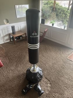 Punching Bag And Gloves
