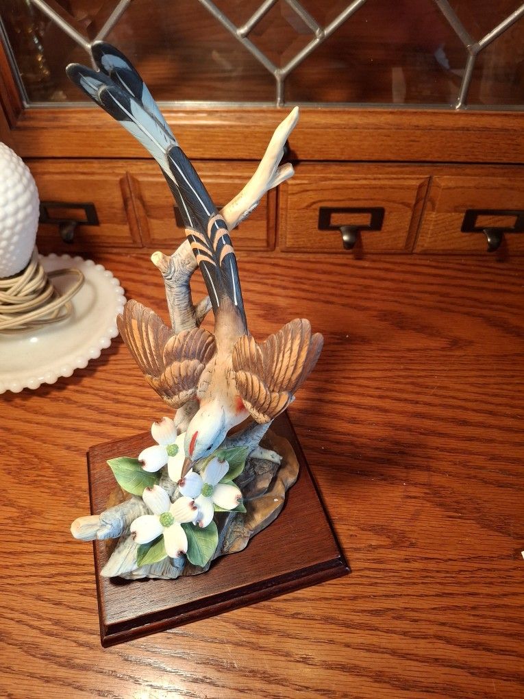  BEAUTIFUL LOOKING VINTAGE  SCISSOR. TAILED FLYCATCHER