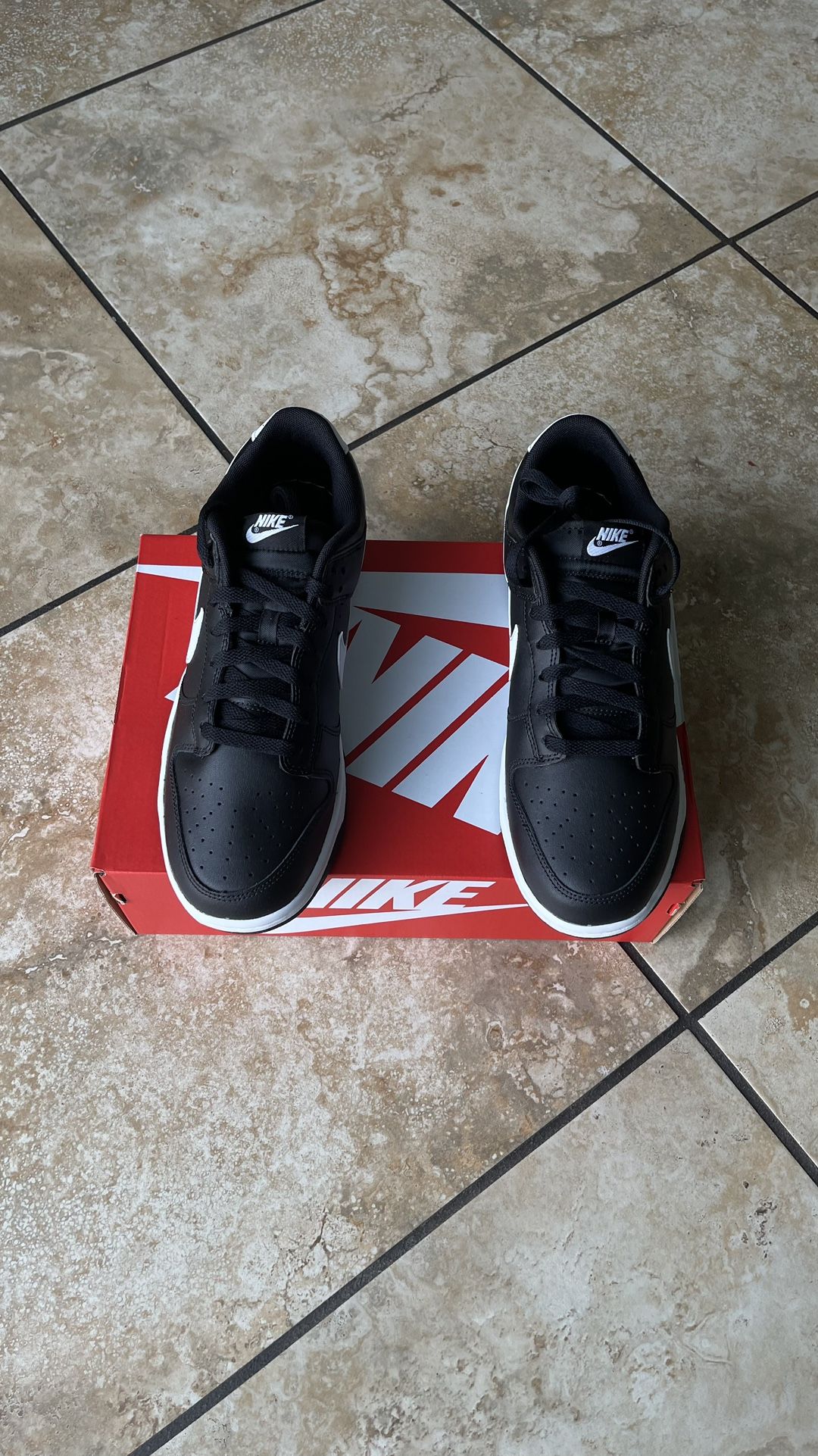 Dunks Low Retro Size Ds