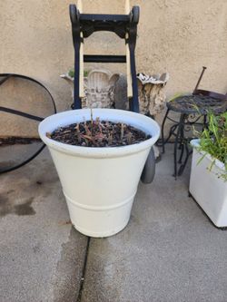 Plant Stands And Plant Containets