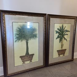 Palm Plant & Banana Tree Art Pictures with Custom Golden-Brown Ornate Frames 38x27