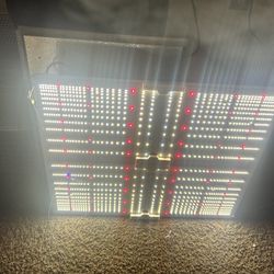 Spider farmer grow light