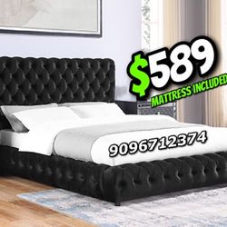 King Black Button Platform Bed w. Orhopedic Mattress Included 