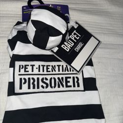 Pet Costume XL 