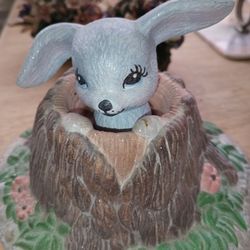 Easter Bunny in The Tree Trunk