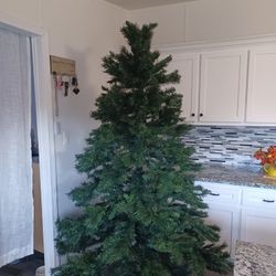 Christmas Tree 🎄 