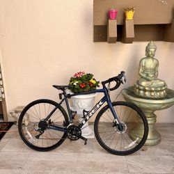 Trek Road Bike