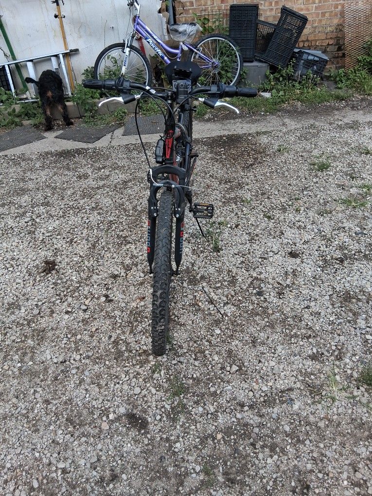Mountain bike