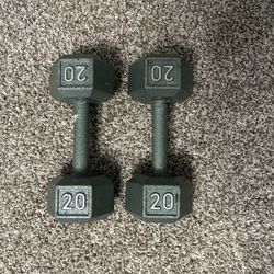 20 Pound Dumbbells 