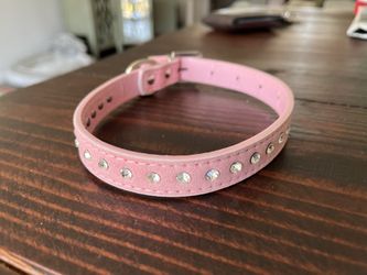 Small Dog Collar