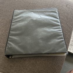Binder With Basic Pokemon And Organized For Each Type