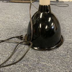 Three Available - 160w Watt Reptile Lights