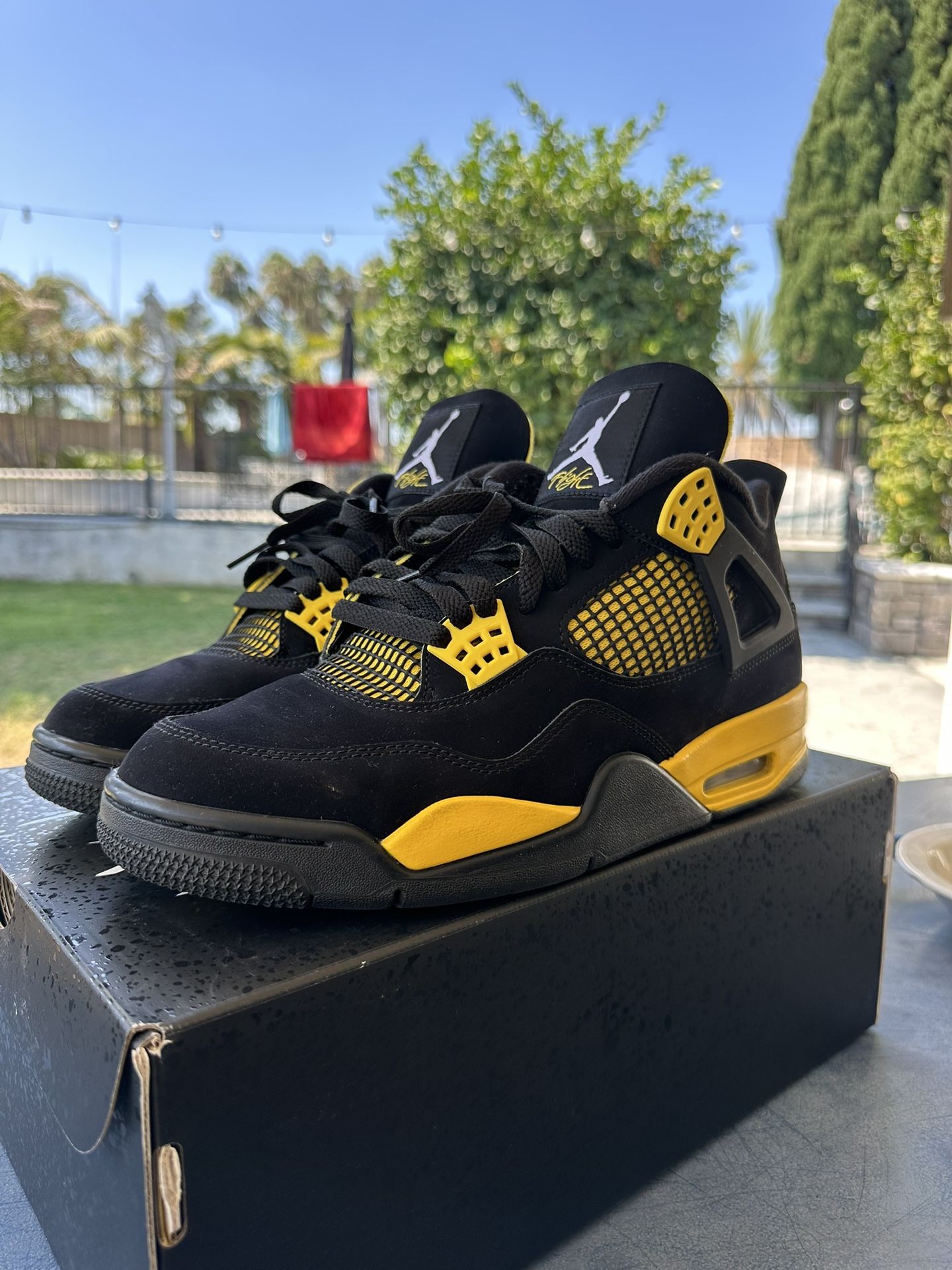 Jordan 4 Thunder 