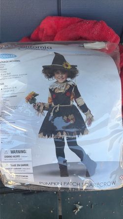 California Costumes Toddler Pumpkin Patch Scarecrow