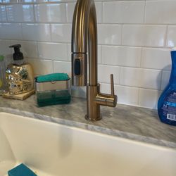 Gold Delta Kitchen Faucet