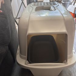cat litter