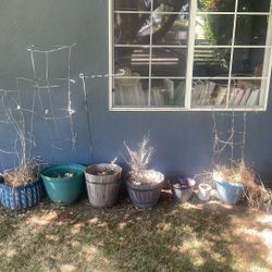 Planters And Pots