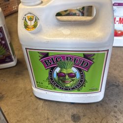 Big Bud 