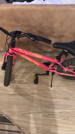 Girls bike 20in