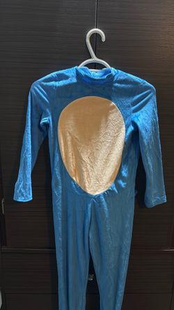 Sonic costume
