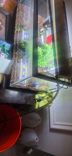Aquarium 20L