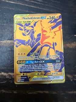 Pikachu & zekrom tag team promo
