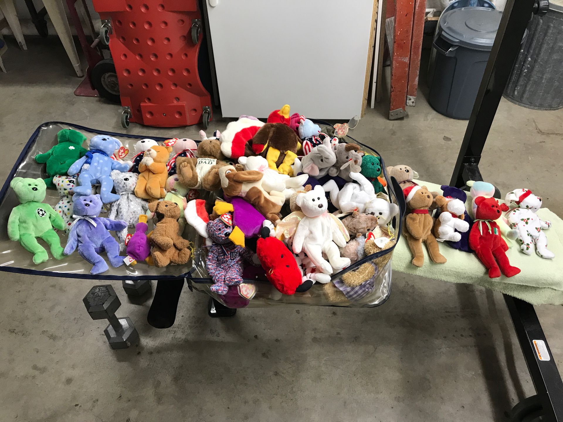 Collection of Beanie Babies , over (50) , great shape with tags on them