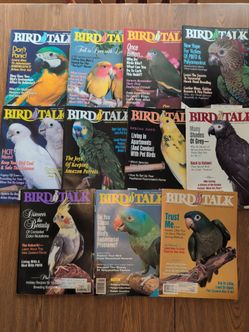 1993 Bird Talk Magazine