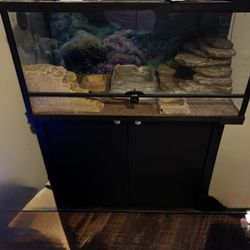 Reptile Aquarium 